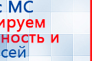 Пояс электрод купить в Кушве, Электроды Меркурий купить в Кушве, Нейродэнс ПКМ официальный сайт - denasdevice.ru